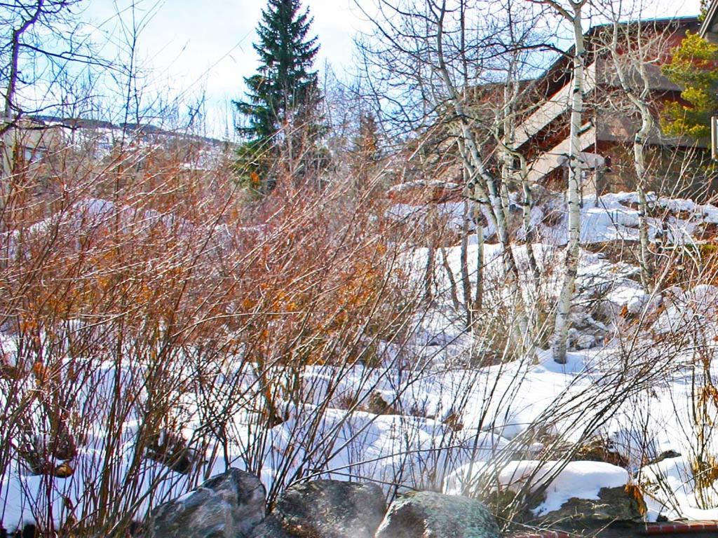 Terracehouse By Snowmass Vacations Appartement Snowmass Village Buitenkant foto